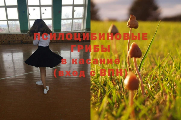 первитин Лабытнанги