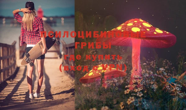 крисы Ладушкин