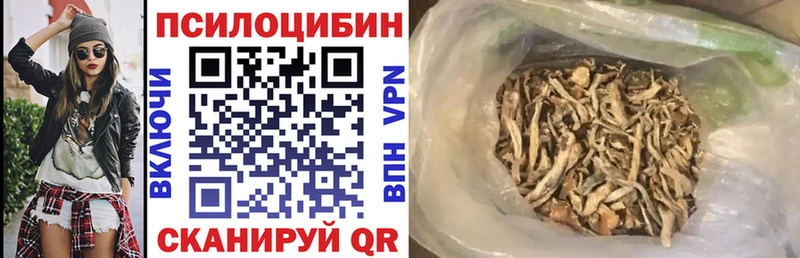 где купить   mega вход  Галлюциногенные грибы MAGIC MUSHROOMS  Таштагол 